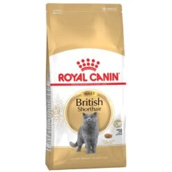 Royal Canin British Shorthair Adult Dry Cat Food 400g