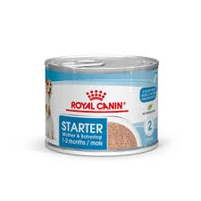 Royal Canin Starter Mousse Dog Food