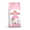 Royal Canin Kitten Dry Cat Food -Pet Care Supplies Store Royal Canin Kitten 36 Dry Cat Food