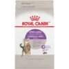 Royal Canin Appetite Control Adult Dry Cat Food -Pet Care Supplies Store Royal Canin Sterilised Appetite Control Dry Cat Food 1