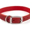 Ancol S2 Sewn Lined Dog Collar Red (26-31cm Size 2) 2 Ancol S2 Sewn Lined Dog Collar Red (26-31cm Size 2) -Pet Care Supplies Store SEWN LINED COLLAR RED 14