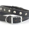 Ancol S4 Black Sewn Studded Dog Collar(35-43cm Size 4) -Pet Care Supplies Store SEWN STUDDED COLLAR BLACK 18 S4