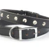 Ancol S6 Black Sewn Studded Dog Collar 22" -Pet Care Supplies Store SEWN STUDDED COLLAR BLACK 22