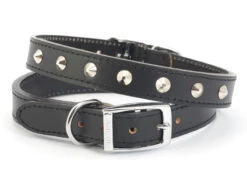 Ancol S6 Black Sewn Studded Dog Collar 22"