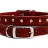 Ancol S6 Red Sewn Studded Dog Collar 22" -Pet Care Supplies Store SEWN STUDDED COLLAR RED 22 S6