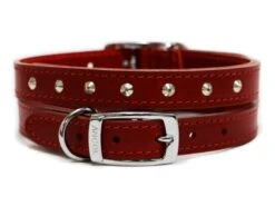 Ancol S6 Red Sewn Studded Dog Collar 22"