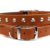 Ancol S2 Sewn Studded Dog Collar Tan (Size 2 - 26-31cm) 1 Ancol S2 Sewn Studded Dog Collar Tan (Size 2 - 26-31cm) -Pet Care Supplies Store SEWN STUDDED COLLAR TAN 14