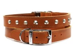 Ancol S2 Sewn Studded Dog Collar Tan (Size 2 - 26-31cm)