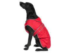Stormguard Dog Coat Red