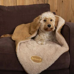 Scruffs Snuggle Pet Blanket