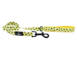 Soho Sunflower Nylon Lead 100cm X 19mm