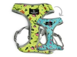 Soho Reversible Harness Dino/Icecream