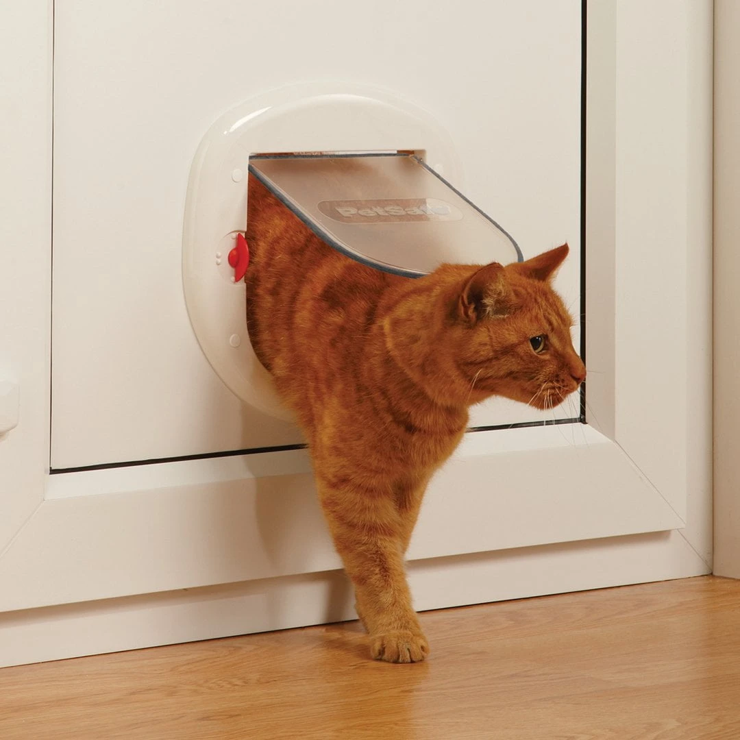 Petsafe Big Cat/Small Dog Pet Door 4 Petsafe Big Cat/Small Dog Pet Door - Image 2