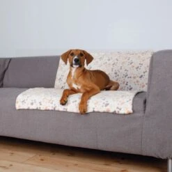 Trixie Lingo Plush Dog Blanket – Pawprint & Bones Design -Pet Care Supplies Store Trixie Lingo Blanket 3 Petworld.ie