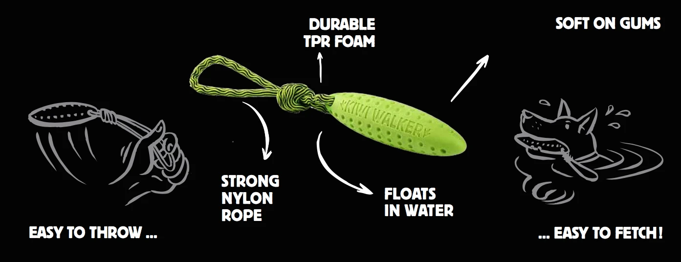 Kiwi Walker Zeppelin Latex Dog Toy 4 Kiwi Walker Zeppelin Latex Dog Toy - Image 2