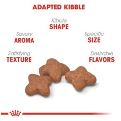 Royal Canin Mini 8+ Mature Dog Food -Pet Care Supplies Store a6ec9b1s8gvgsmkuhapg