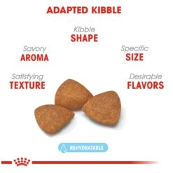 Royal Canin Mini Ageing 12+ Years 1.5kg 10 Royal Canin Mini Ageing 12+ Years 1.5kg -Pet Care Supplies Store abmeckcvovu1frxo7pzx 1