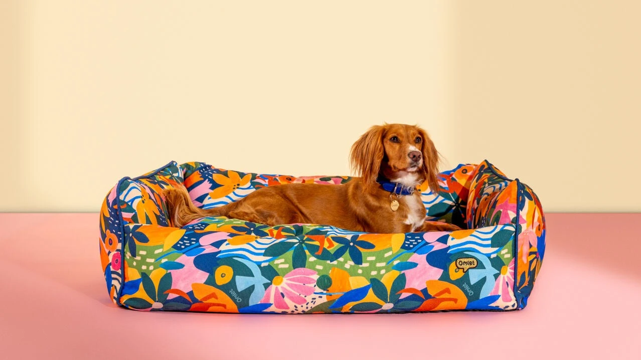 Front Page -Pet Care Supplies Store adventureland patterned cushion