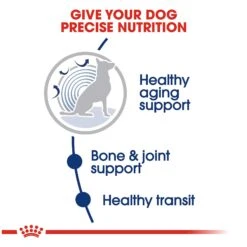Royal Canin Maxi Ageing 8+Dog Food 9 Royal Canin Maxi Ageing 8+Dog Food -Pet Care Supplies Store afvppr0ul5dyaykvsxxx