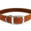 Ancol Sewn Lined Dog Collar Tan 5 - 39-48cm -Pet Care Supplies Store ancol s5 sewn lined collars tan 20
