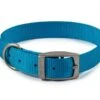 Ancol Nylon Dog Collar Blue (Size 3 (28-36cm) -Pet Care Supplies Store ancol viva nylon blue dog collar
