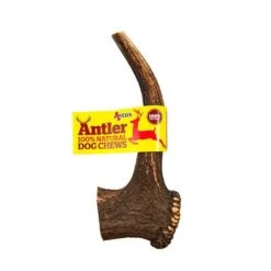 Extra-large Antler Dog Treat