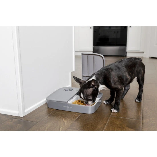 PetSafe Automatic 2 Meal Pet Feeder 4 PetSafe Automatic 2 Meal Pet Feeder - Image 2