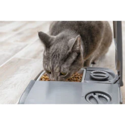PetSafe Automatic 2 Meal Pet Feeder 10 PetSafe Automatic 2 Meal Pet Feeder -Pet Care Supplies Store automatic 2 meal pet feeder ls twerp 03