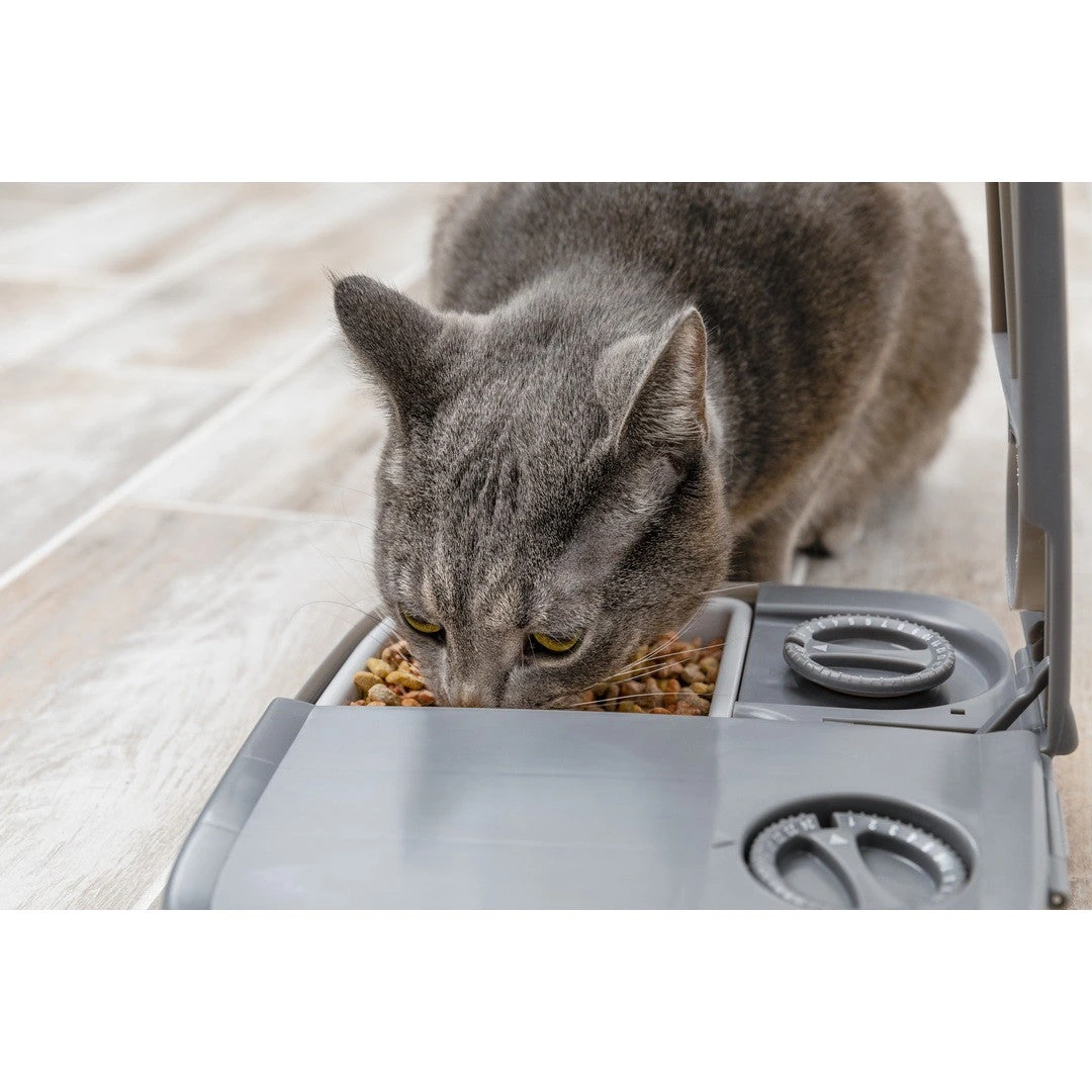 PetSafe Automatic 2 Meal Pet Feeder 6 PetSafe Automatic 2 Meal Pet Feeder - Image 4