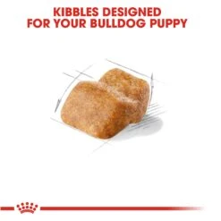 Royal Canin Bulldog Puppy Dog Food -Pet Care Supplies Store aylfugzghhvognwrv1zc