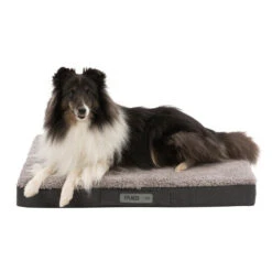 Trixie Bendson Vital Dog Mattress – Grey