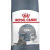 Royal Canin Oral Care 30 Adult Dry Cat Food -Pet Care Supplies Store bg50ryy8tcfqv1euylxx
