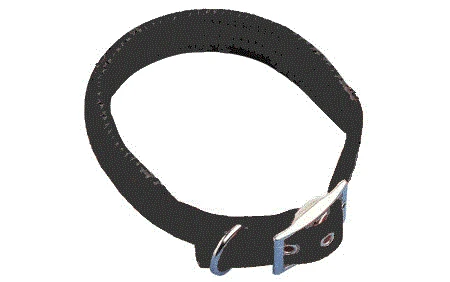 Padded Black Nylon Dog Collar 70cm 3 Padded Black Nylon Dog Collar 70cm