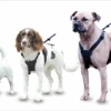 Halti No Pull Harness Large 1 Halti No Pull Harness Large -Pet Care Supplies Store coa nonpull dog harness petworld ireland 2