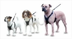 Halti No Pull Harness Large