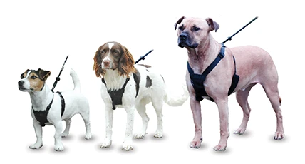 Halti No Pull Harness Large 3 Halti No Pull Harness Large