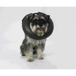 Thrive Comfy Collar Large