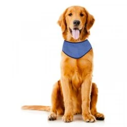 Zoon Uber-Activ Cooling Bandana