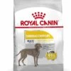 Royal Canin Maxi Dermacomfort Dog Food 12kg -Pet Care Supplies Store d2ripzlxbukdxlqhusbf