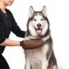 Dog Gone Smart Dirty Dog Grooming Mitt Brown -Pet Care Supplies Store dirty dog grooming mitt