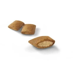 Royal Canin Aging +12 Dry Cat Food -Pet Care Supplies Store dlzpgpgq2c0txlubagb2