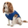 Ancol Dog Cooling Vest Coat 2 Ancol Dog Cooling Vest Coat -Pet Care Supplies Store dog cooling coat