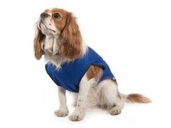 Ancol Dog Cooling Vest Coat