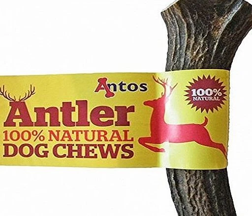 Antler Natural Dog Chew Medium 3 Antler Natural Dog Chew Medium