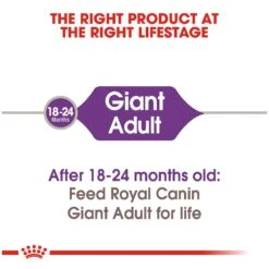 Royal Canin Giant Adult Dog Food -Pet Care Supplies Store e5ynvujz6yt1fbyehrth
