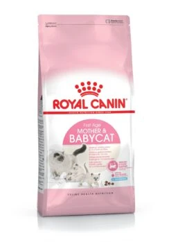 Royal Canin Mother And Babycat Dry Food