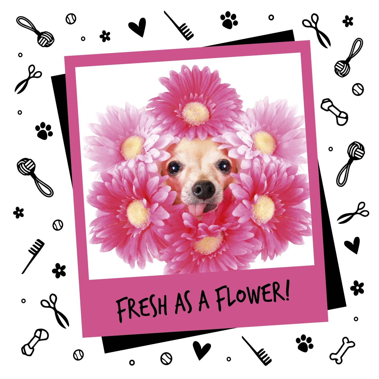 Bugalugs Baby Fresh Dog Cologne 200ml 4 Bugalugs Baby Fresh Dog Cologne 200ml - Image 2