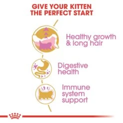 Royal Canin Persian Kitten Dry Cat Food -Pet Care Supplies Store give your kitten the perfect start 1