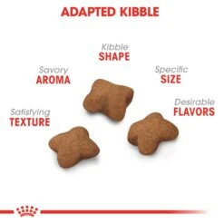 Royal Canin Kitten Sterilised Dry Cat Food -Pet Care Supplies Store gzzpajna7bjwf6htosq3