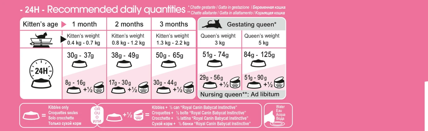 Royal Canin Mother And Babycat Dry Food 5 Royal Canin Mother And Babycat Dry Food - Image 3